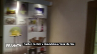 Nashle na skle v zámeckém areálu Ctěnice