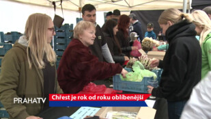 Chřest je rok od roku oblíbenější