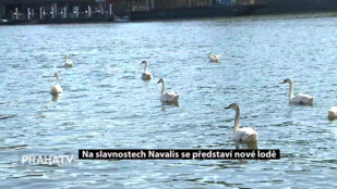 Na slavnostech Navalis se představí nové lodě