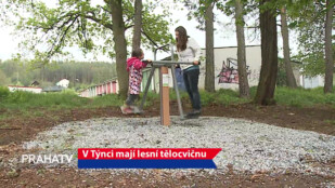 V Týnci mají lesní tělocvičnu