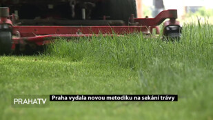 Praha vydala novou metodiku na sekání trávy