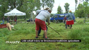 Lidé sekali trávu ve Stromovce tradičním způsobem