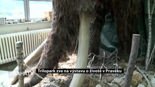 Trilopark zve na výstavu o životě v Pravěku