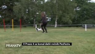 V Praze 4 se konal další ročník PesFestu