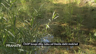 ČSOP koupí díky šeku od Veolie další mokřad
