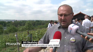 Pražské vinice otevírají své brány veřejnosti