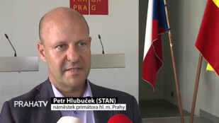 Praha vysází za osm let milion stromů