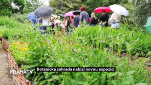 Botanická zahrada nabízí novou expozici