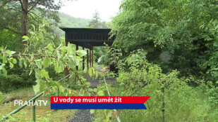 U vody se musí umět žít