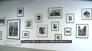 Kampa láká na výstavu Helmuta Newtona