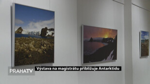 Výstava na magistrátu přibližuje Antarktidu