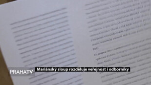 Mariánský sloup rozděluje veřejnost i odborníky