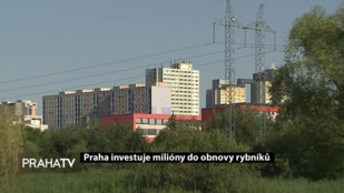 Praha investuje milióny do obnovy rybníků