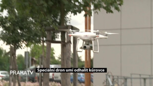 Speciální dron umí odhalit kůrovce