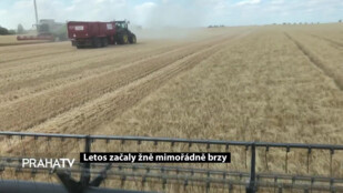 Letos začaly žně mimořádně brzy
