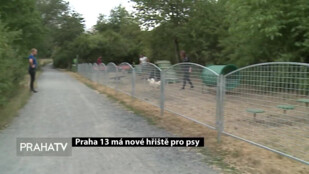 Praha 13 má nové hřiště pro psy
