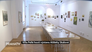 Villa Pellé hostí výstavu Alžběty Skálové