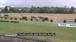 Chuchle hostila další klusácké dostihy