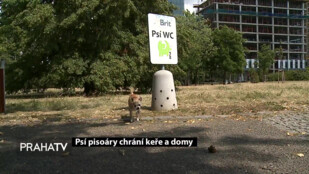 Psí pisoáry chrání keře a domy