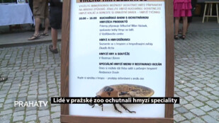 Lidé v pražské zoo ochutnali hmyzí speciality