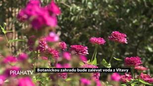 Botanickou zahradu bude zalévat voda z Vltavy