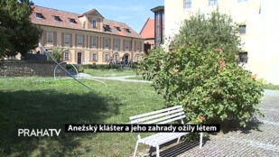 Anežský klášter a jeho zahrady ožily létem