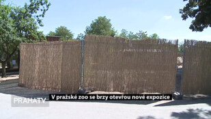 V pražské zoo se brzy otevřou nové expozice