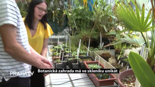 Botanická zahrada má ve skleníku unikát