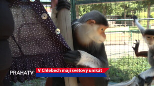 V Chlebech mají světový unikát