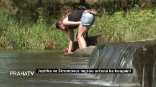 Jezírka ve Stromovce nejsou určená ke koupání