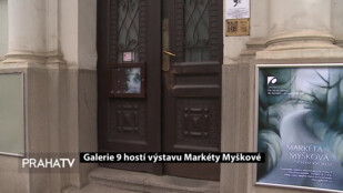 Galerie 9 hostí výstavu Markéty Myškové