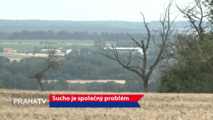 Sucho je společný problém