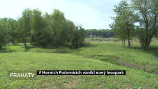 V Horních Počernicích vznikl nový lesopark