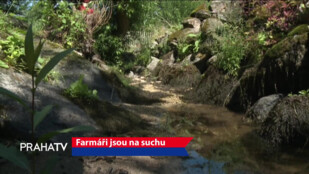 Farmáři jsou na suchu