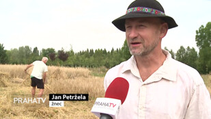 V ekocentru Prales probíhaly žně