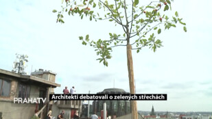 Architekti debatovali o zelených střechách