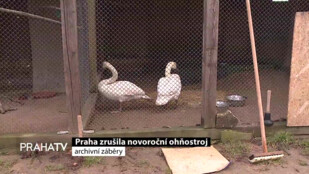 Praha zrušila novoroční ohňostroj