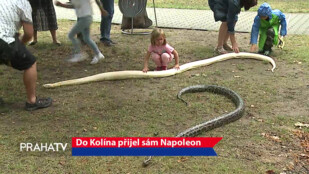 Do Kolína přijel sám Napoleon