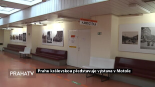 Prahu královskou představuje výstava v Motole