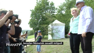 Jaroslav Němeček zasadil mišpuli
