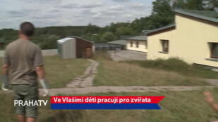 Ve Vlašimi děti pracují pro zvířata