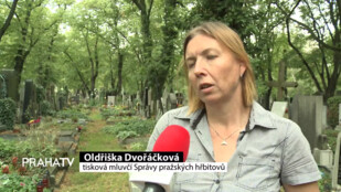 V Praze jsou desetitisíce volných hrobů