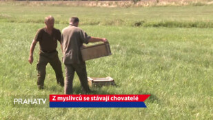 Z myslivců se stávají chovatelé