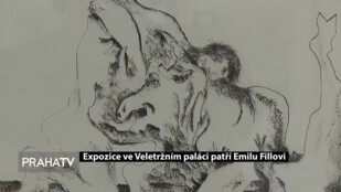 Expozice ve Veletržním paláci patří Emilu Fillovi