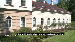 Botanická zahrada v centru Prahy je oázou klidu