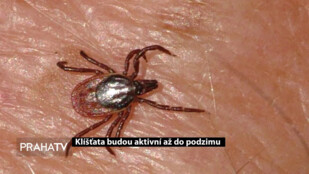 Klíšťata budou aktivní až do podzimu
