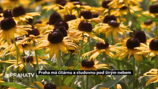 Praha má čítárnu a studovnu pod širým nebem