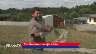 Zvířata v nouzi mají zastání