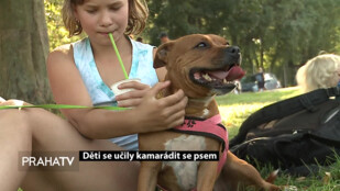 Děti se učily kamarádit se psem