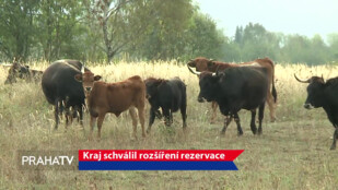 Kraj schválil rozšíření rezervace